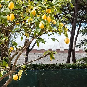Lemon House Yellow Italia