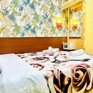 https://green-guesthouse.it-romehotels.com